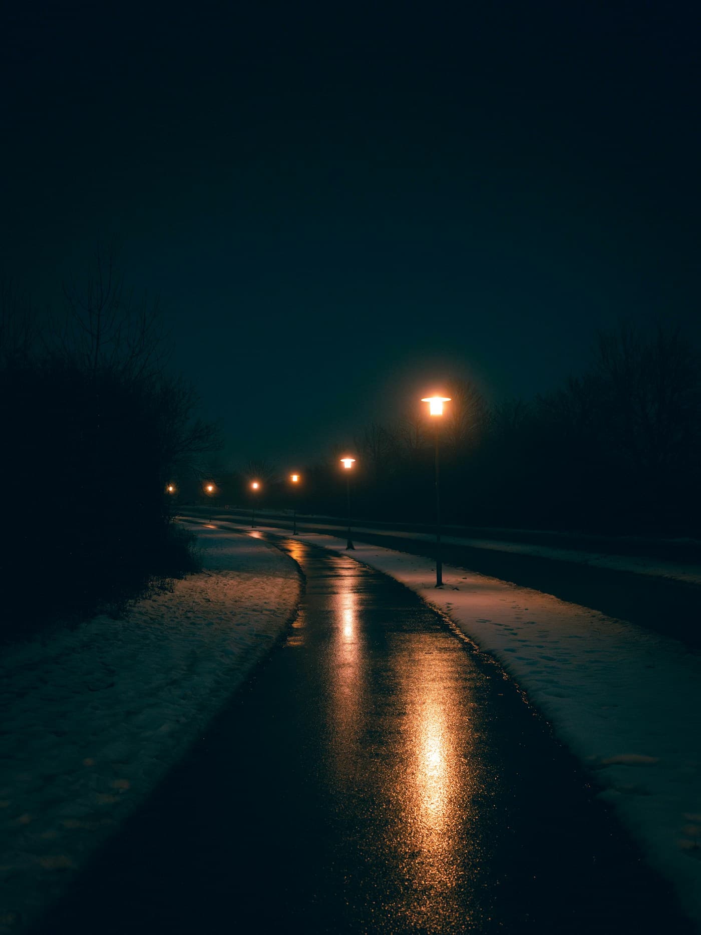 Street lamps lighting a wet path at night